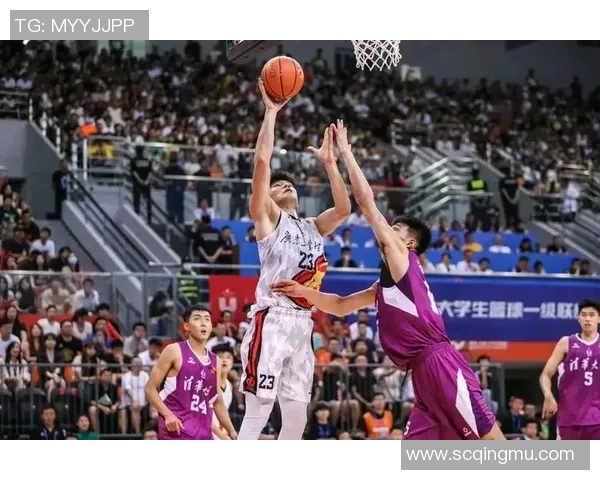 武汉篮球队实力分析与联赛表现评估全景解读